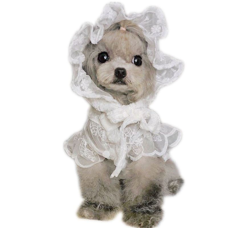 White Lace Princess Dog Weedin - Xl Summer Clothing 评论和价格